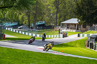 Lower Group Yellow Bikes